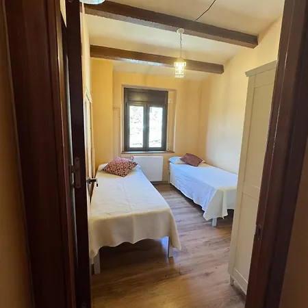 Refugi De L'albera