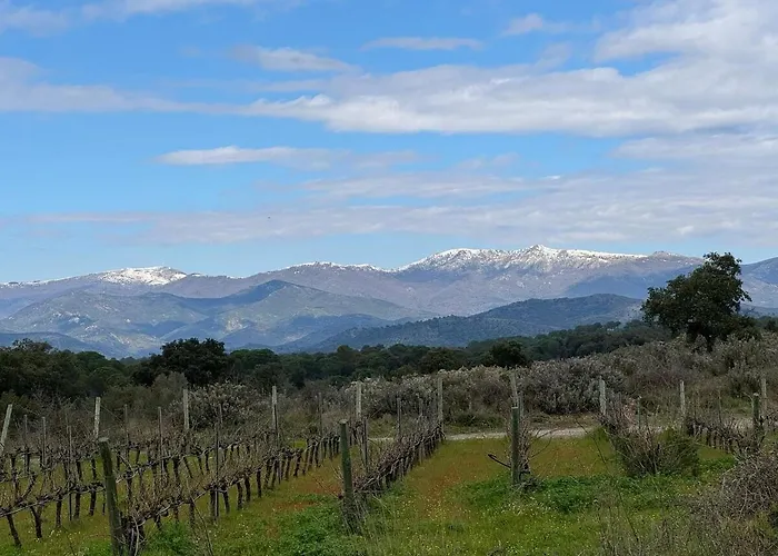 Refugi De L'albera