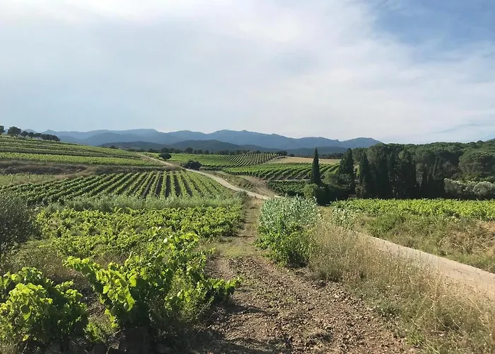 Refugi De L'albera Vilamaniscle