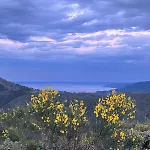 Refugi De L'albera *