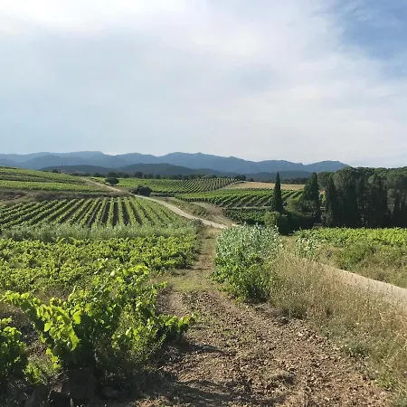 Refugi De L'albera Vilamaniscle